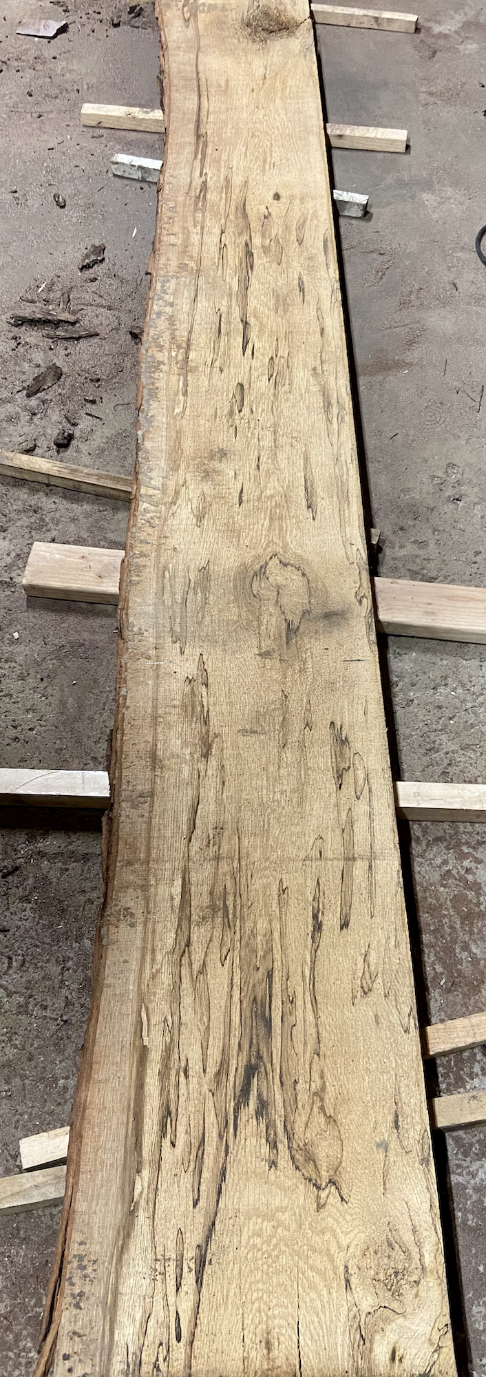 Spalted White Oak Vanity with Live Edge Walnut Top