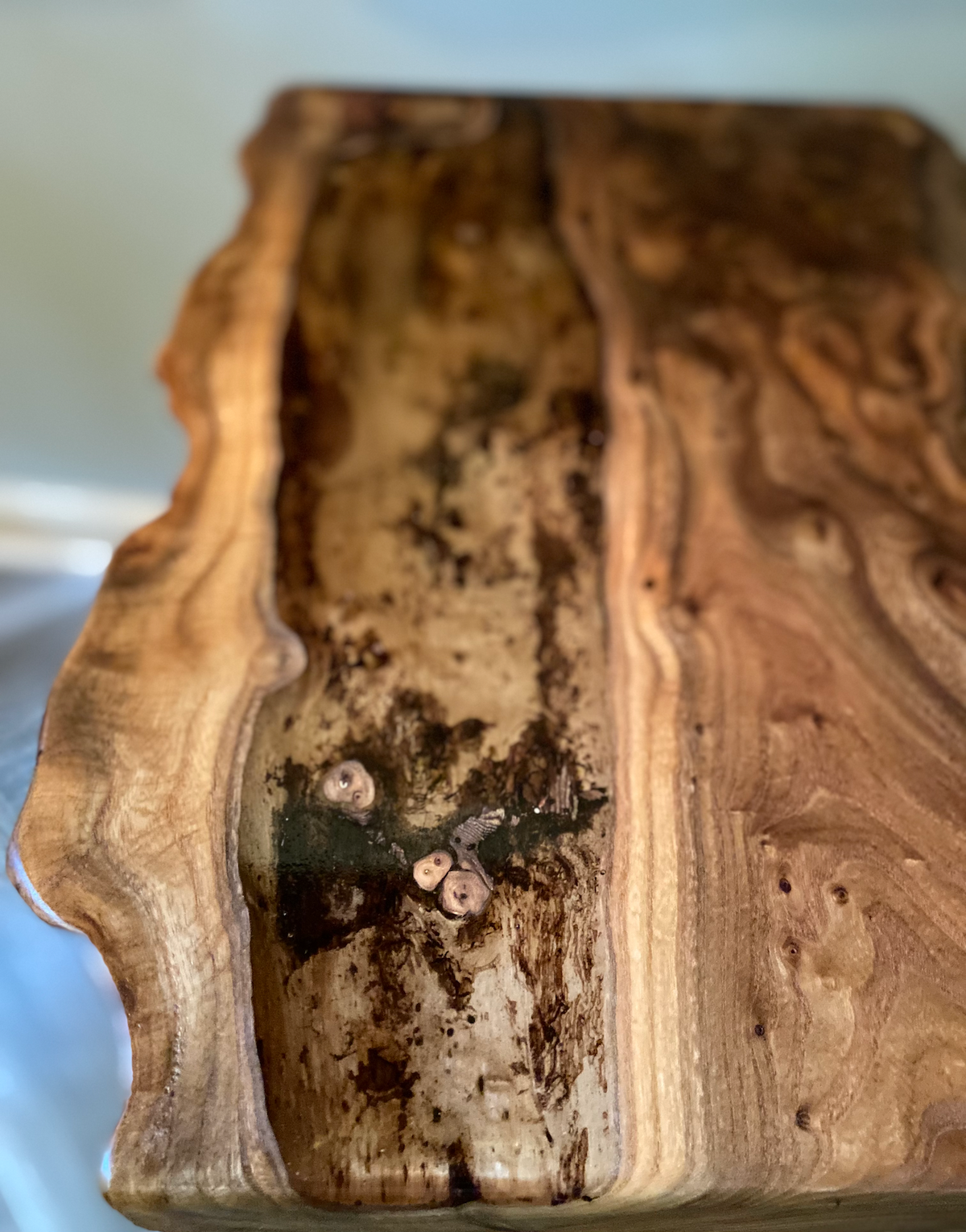 Live Edge Chestnut Burl Display Table with Clear Epoxy