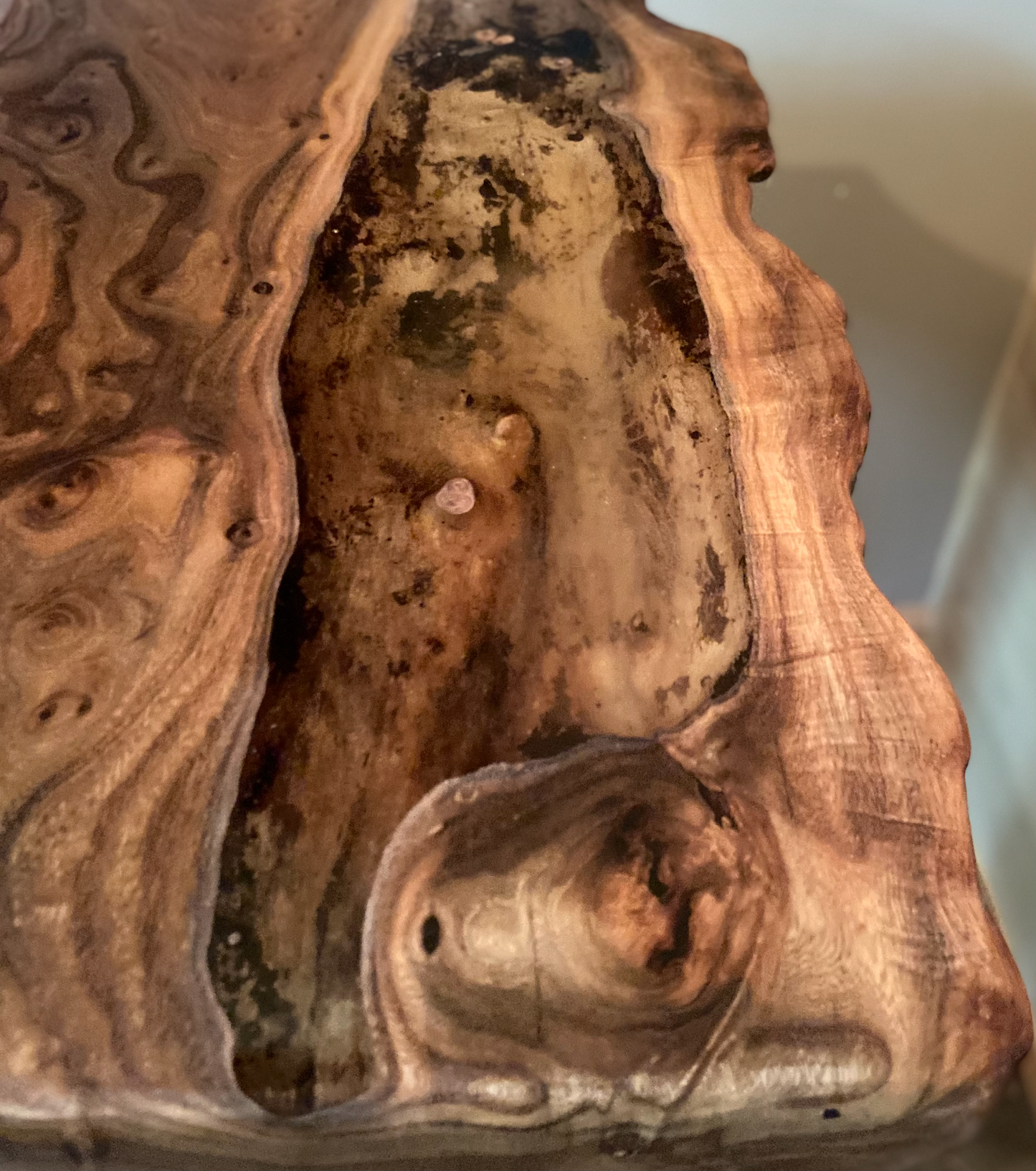 Live Edge Chestnut Burl Display Table with Clear Epoxy