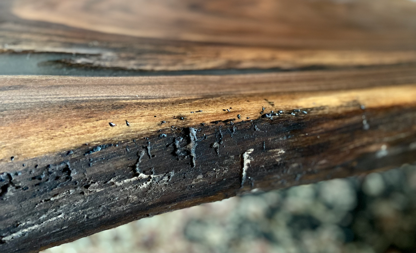 Live Edge Black Walnut Coffee Table with Stormy Gray Epoxy