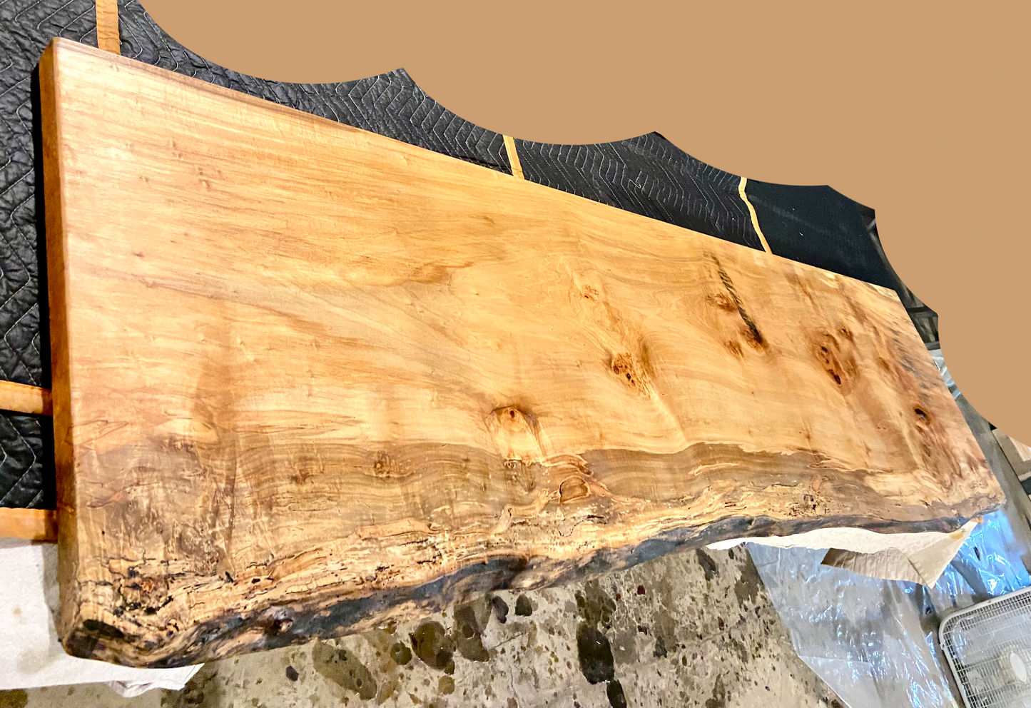 Live Edge Burl Maple and Bird's Eye Oversized Bar Top