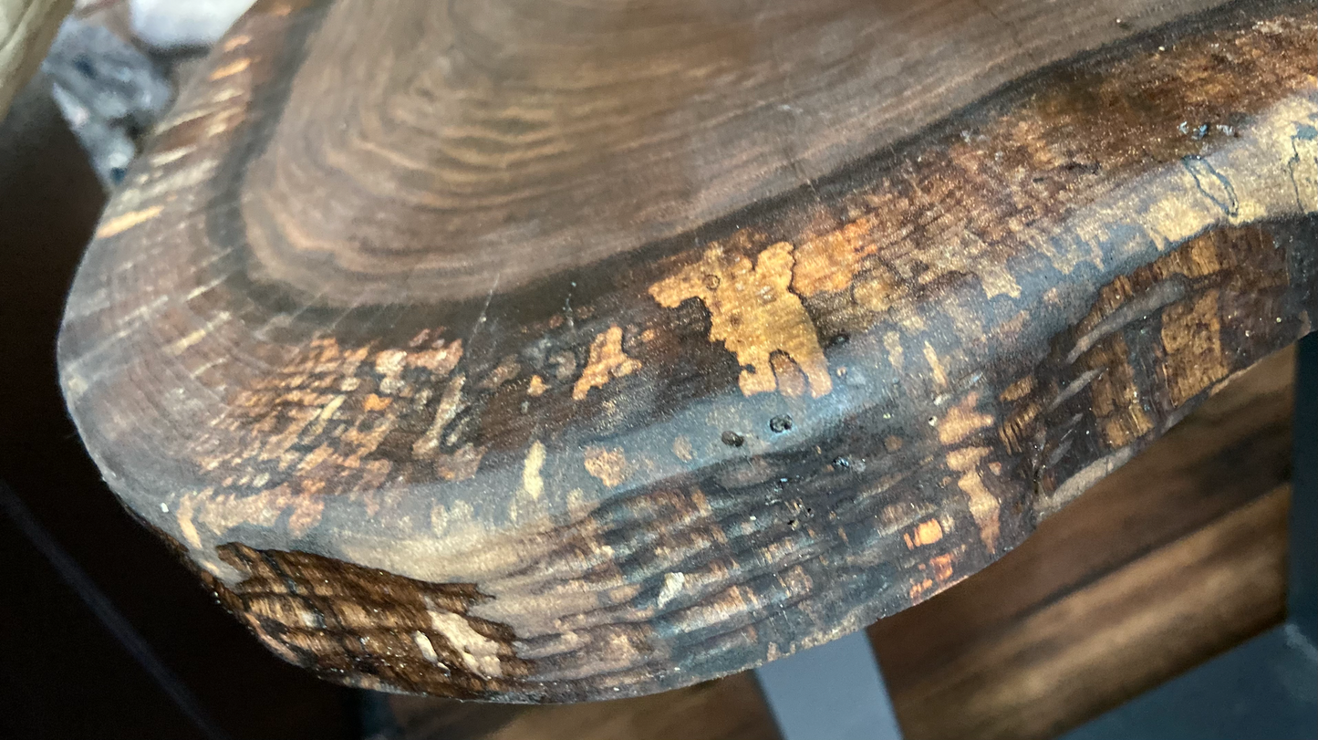 Live Edge Round Walnut Wood Table | Oval CrossCut Side Table | Rustic Farmhouse Accent Table | Live Edge End Table | Round Cookie Wood Table