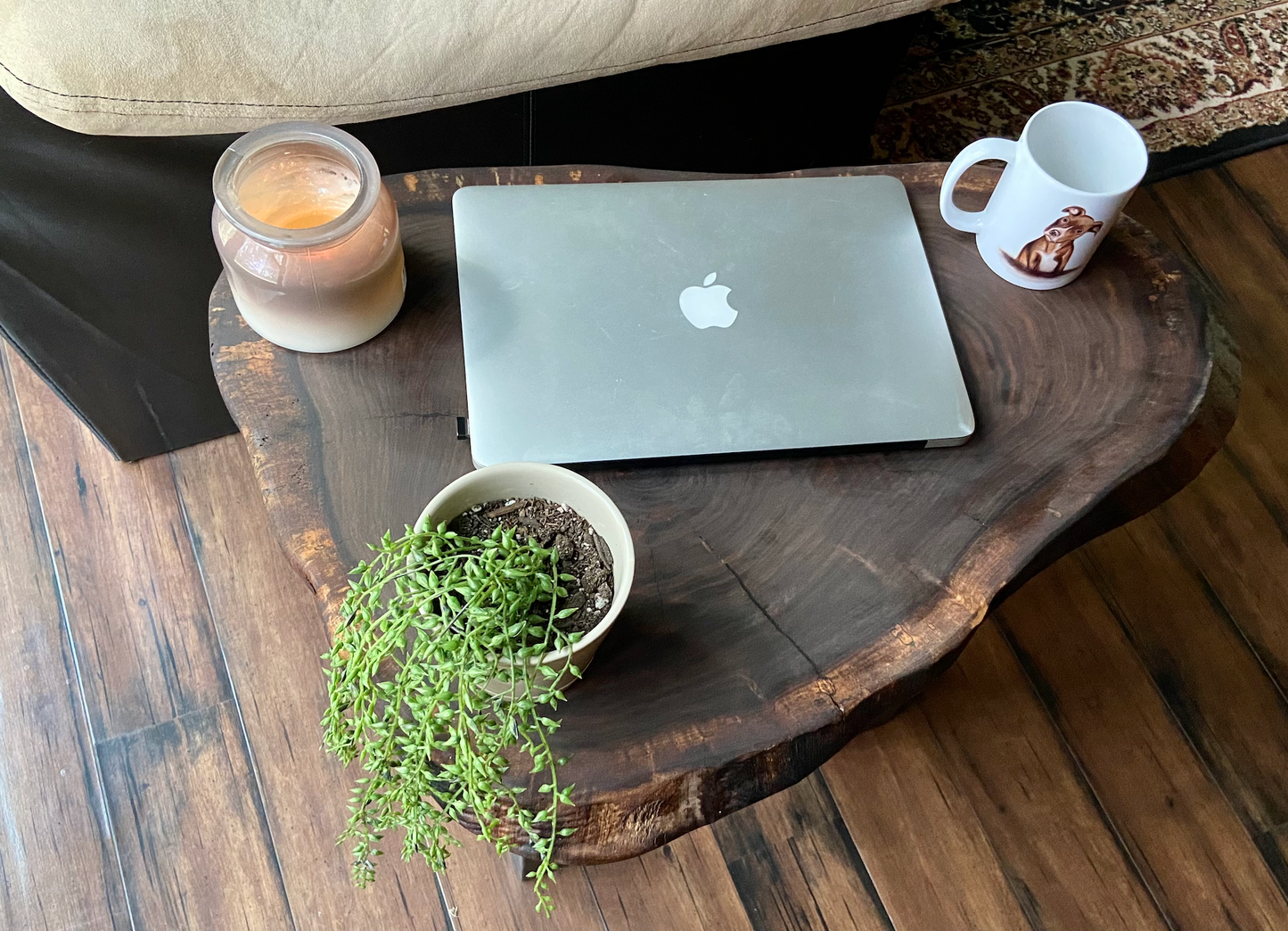 Live Edge Round Walnut Wood Table | Oval CrossCut Side Table | Rustic Farmhouse Accent Table | Live Edge End Table | Round Cookie Wood Table