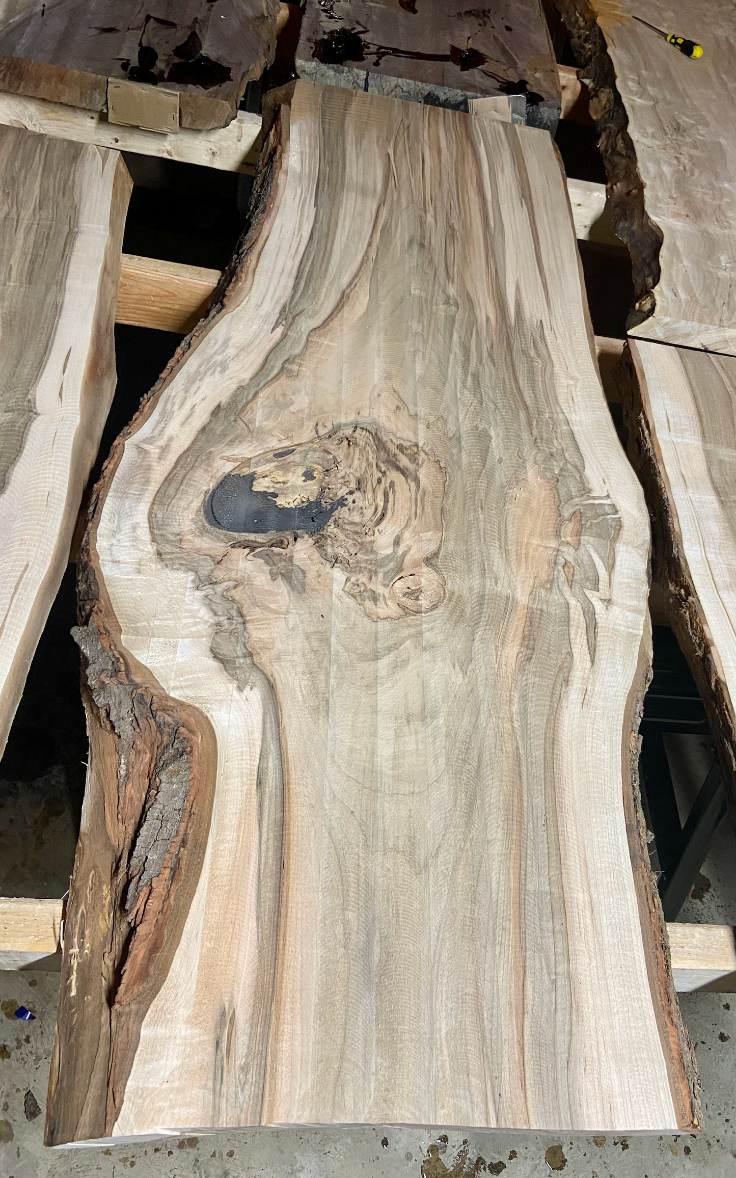 Sentimental Live Edge Figured Maple Coffee Table