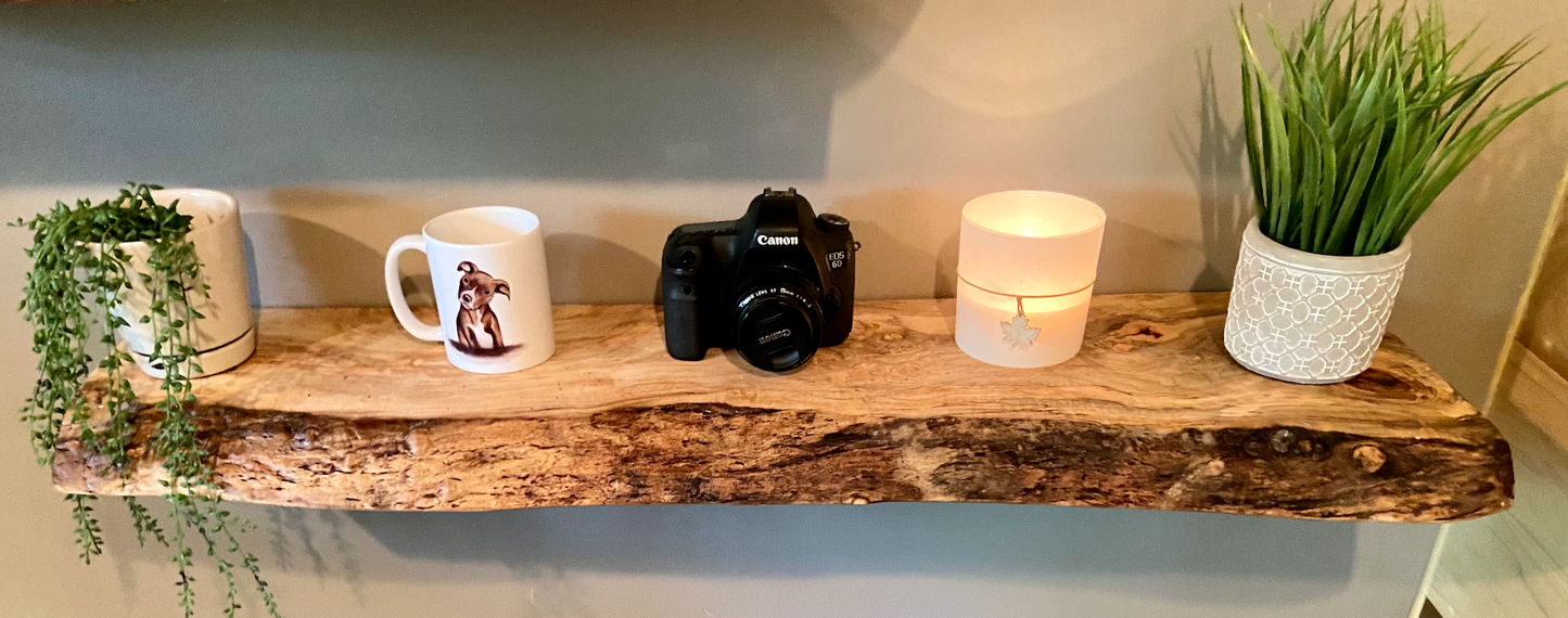 Live Edge Spalted Maple Wood Floating Shelf|Ambrosia Maple Natural Edge Wood Shelf|Rustic Live Edge Maple|Live Edge Maple Wood Mantel Ledge