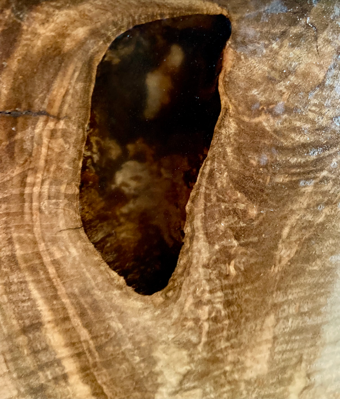 Long Raw Edge Stunning Curly Maple Wood Coffee Table|Live Edge Maple Table|Ambrosia Maple Live Edge Entryway Table|Media Wood Console Table