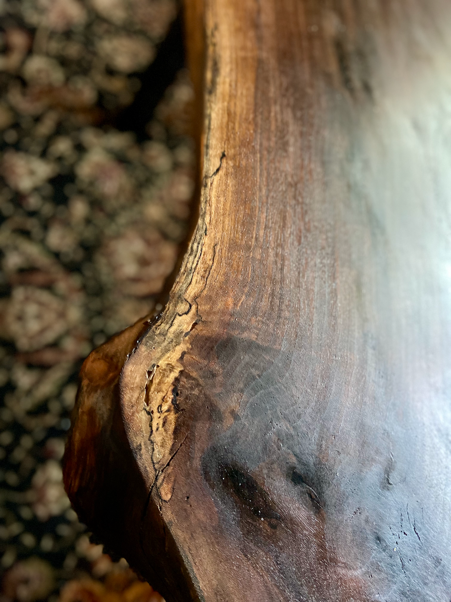 Timeless Live Edge Black Walnut Console Table | Long Live Edge Coffee Table | Live Edge Sofa Table | Live Edge Walnut Wood Display Table