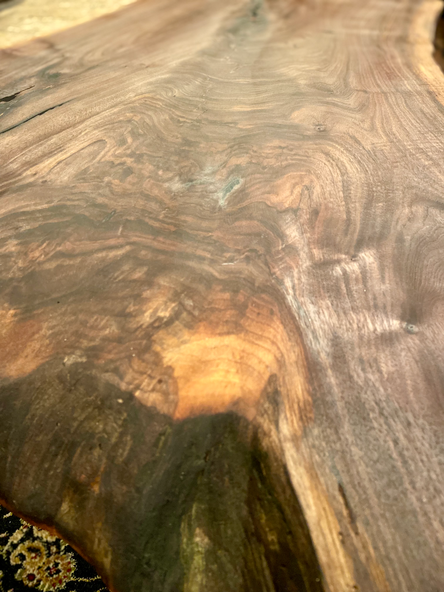 Naturally Curved Live Edge Walnut Coffee Table|Live Edge Wood Coffee Table|Natural Edge Black Walnut Table|Live Edge Rustic Walnut Table