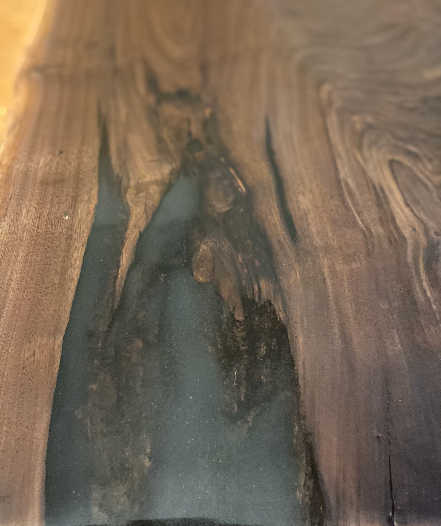 Naturally Curved Live Edge Walnut Coffee Table|Live Edge Wood Coffee Table|Natural Edge Black Walnut Table|Live Edge Rustic Walnut Table