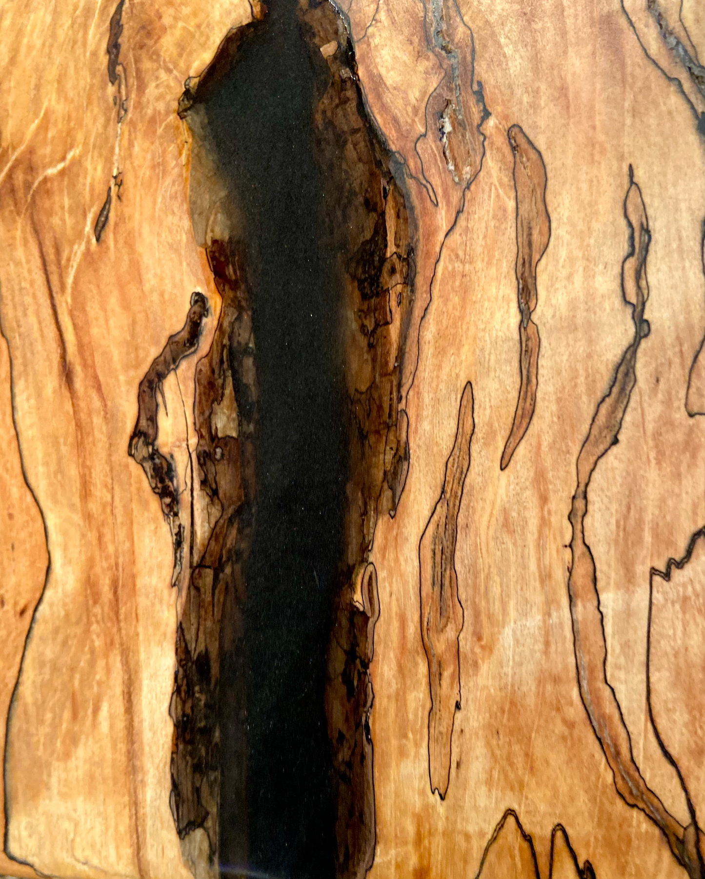 Large Natural Live Edge Wormy Maple Wood Coffee Table|Modern Rustic Coffee Table|Ambrosia Maple Coffee|Live Edge Round Wood Table