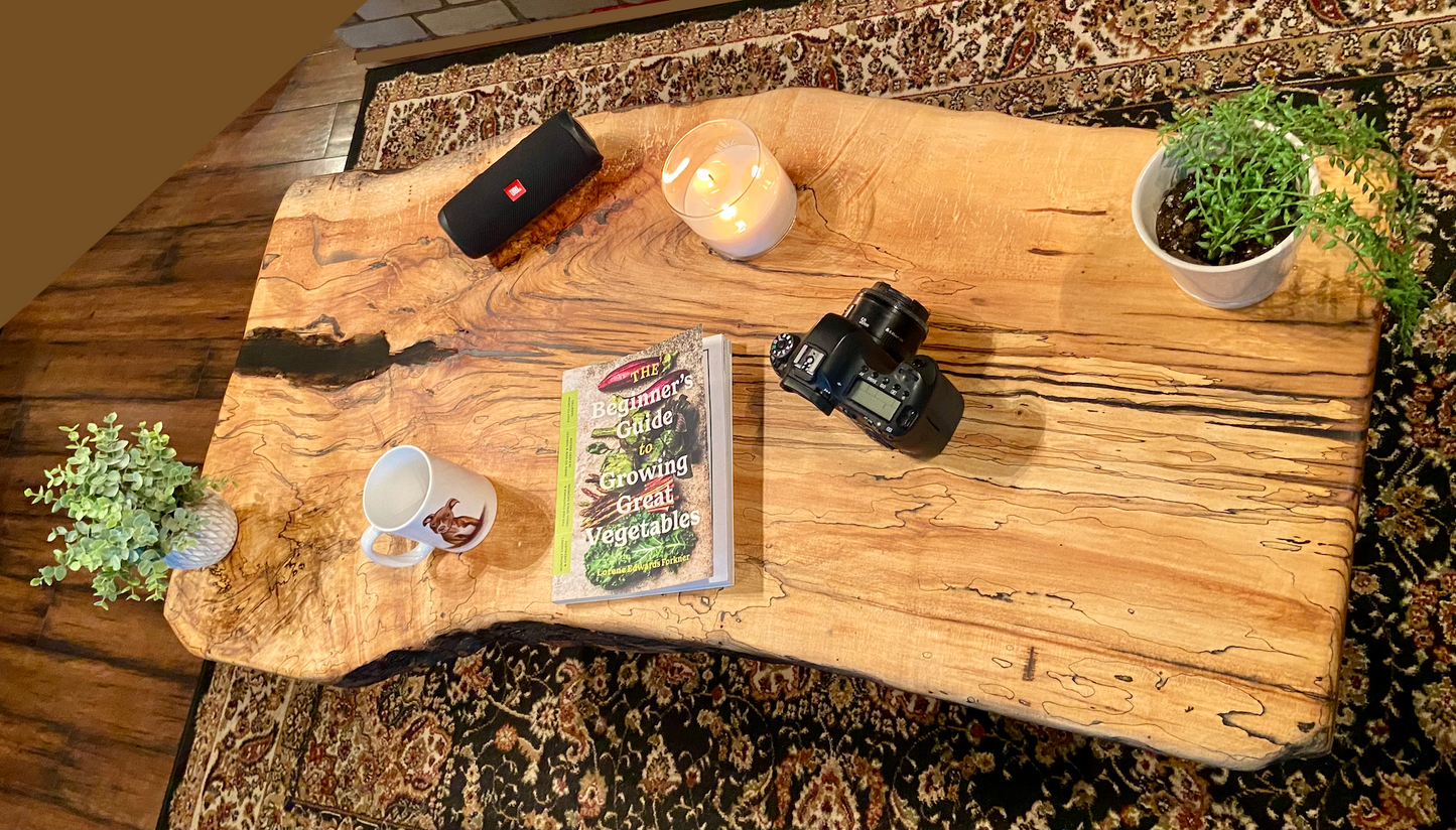 Large Natural Live Edge Wormy Maple Wood Coffee Table|Modern Rustic Coffee Table|Ambrosia Maple Coffee|Live Edge Round Wood Table