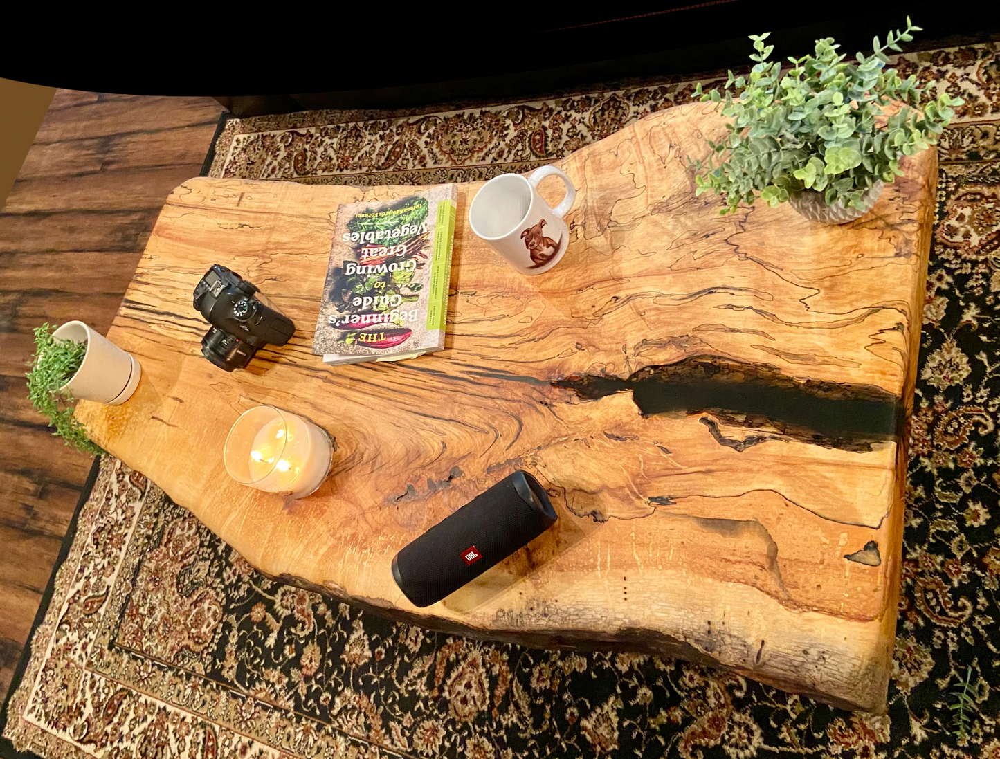 Large Natural Live Edge Wormy Maple Wood Coffee Table|Modern Rustic Coffee Table|Ambrosia Maple Coffee|Live Edge Round Wood Table