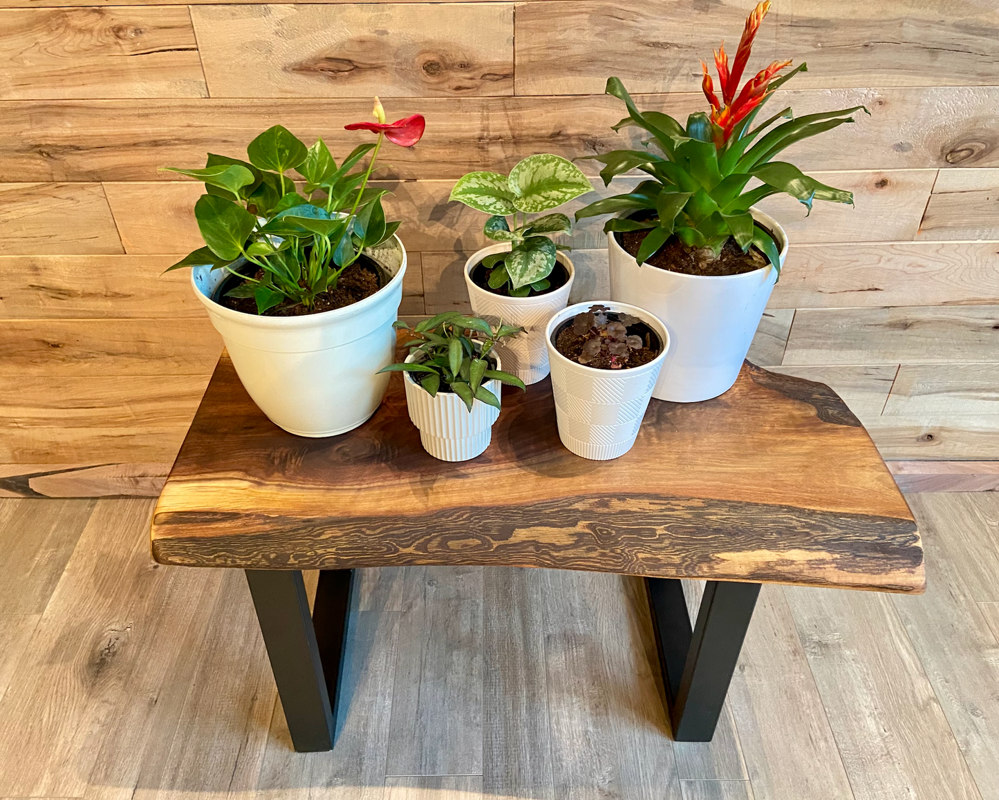 A handcrafted live edge walnut display table with black metal legs, placed against a wooden accent wall. The live edge accent table showcases natural wood grain, knots, and organic edges, adding a rustic-modern touch to the space. A live edge walnut table styled with a candle, notebook, pen, a book, and a potted plant. The solid wood surface has a rich, natural finish, making it a perfect accent piece for an entryway or living space.