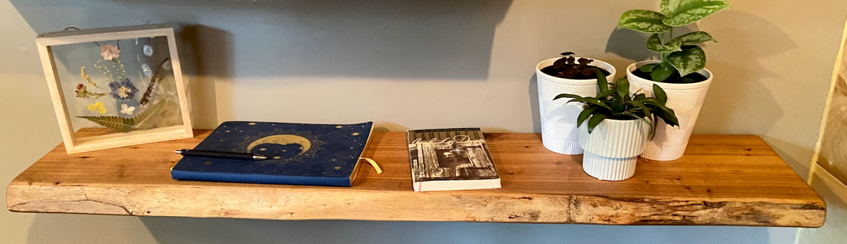 Wooden shelf with books, a framed picture, and potted plants against a gray wall.