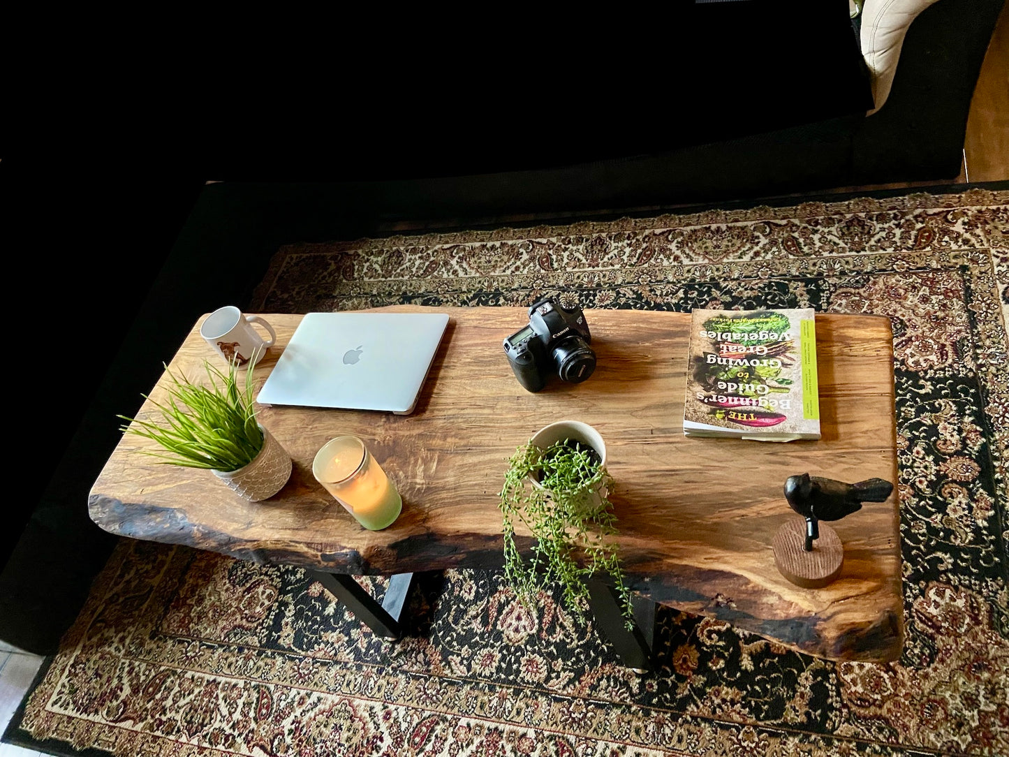 Large Ambrosia Wormy Maple Live Edge Coffee Table|Live Edge Spalted Maple Coffee Table|Live Edge Maple Wood Coffee Table|Live Edge Table