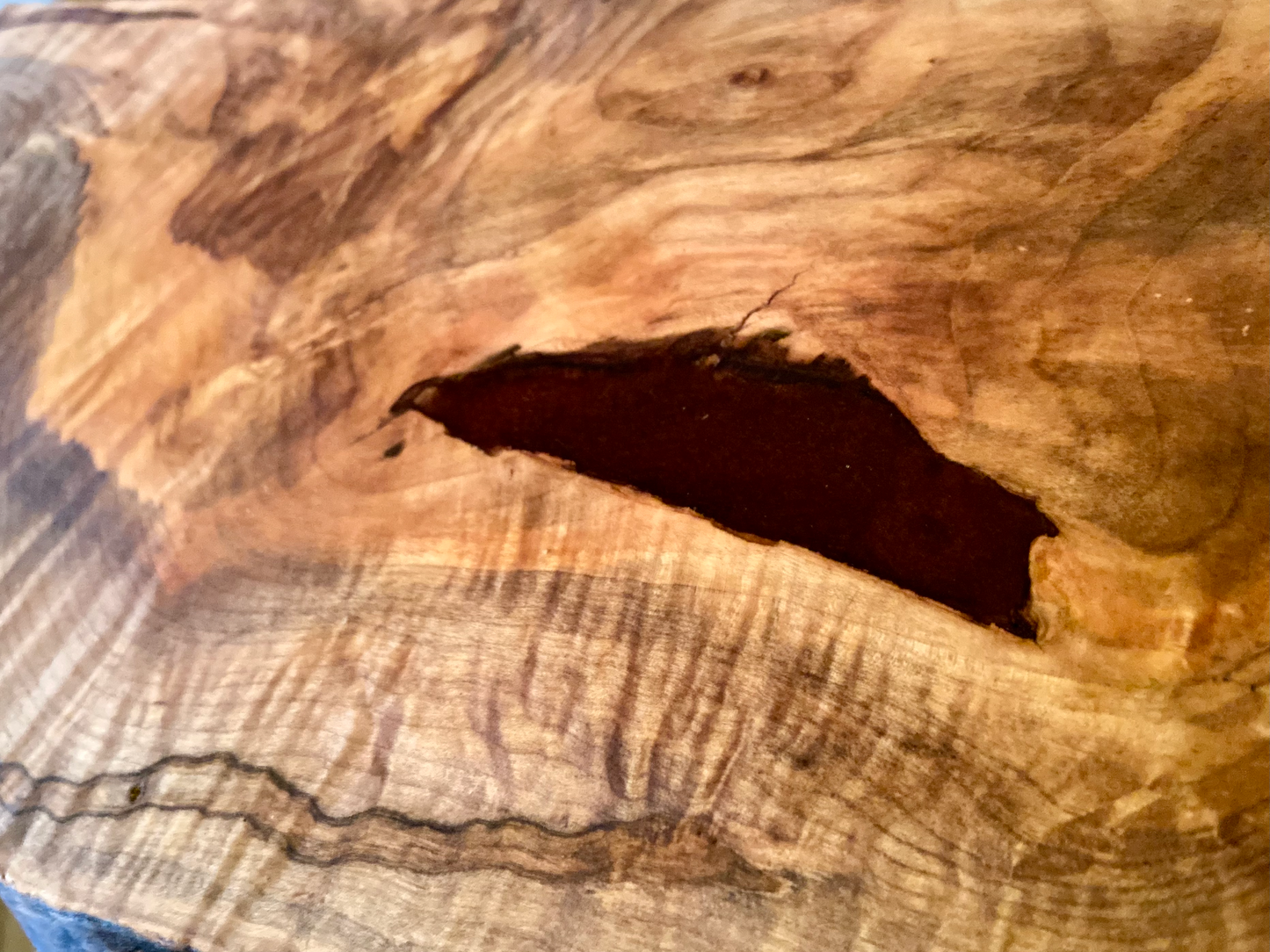 Handcrafted small live edge ambrosia maple floating shelf mounted on a wall. Close-up of the live edge detail on an ambrosia maple floating shelf, highlighting the natural wood grain and unique wormy patterns. Side view of a small ambrosia maple floating shelf with concealed brackets, showcasing its sleek, minimalist design.