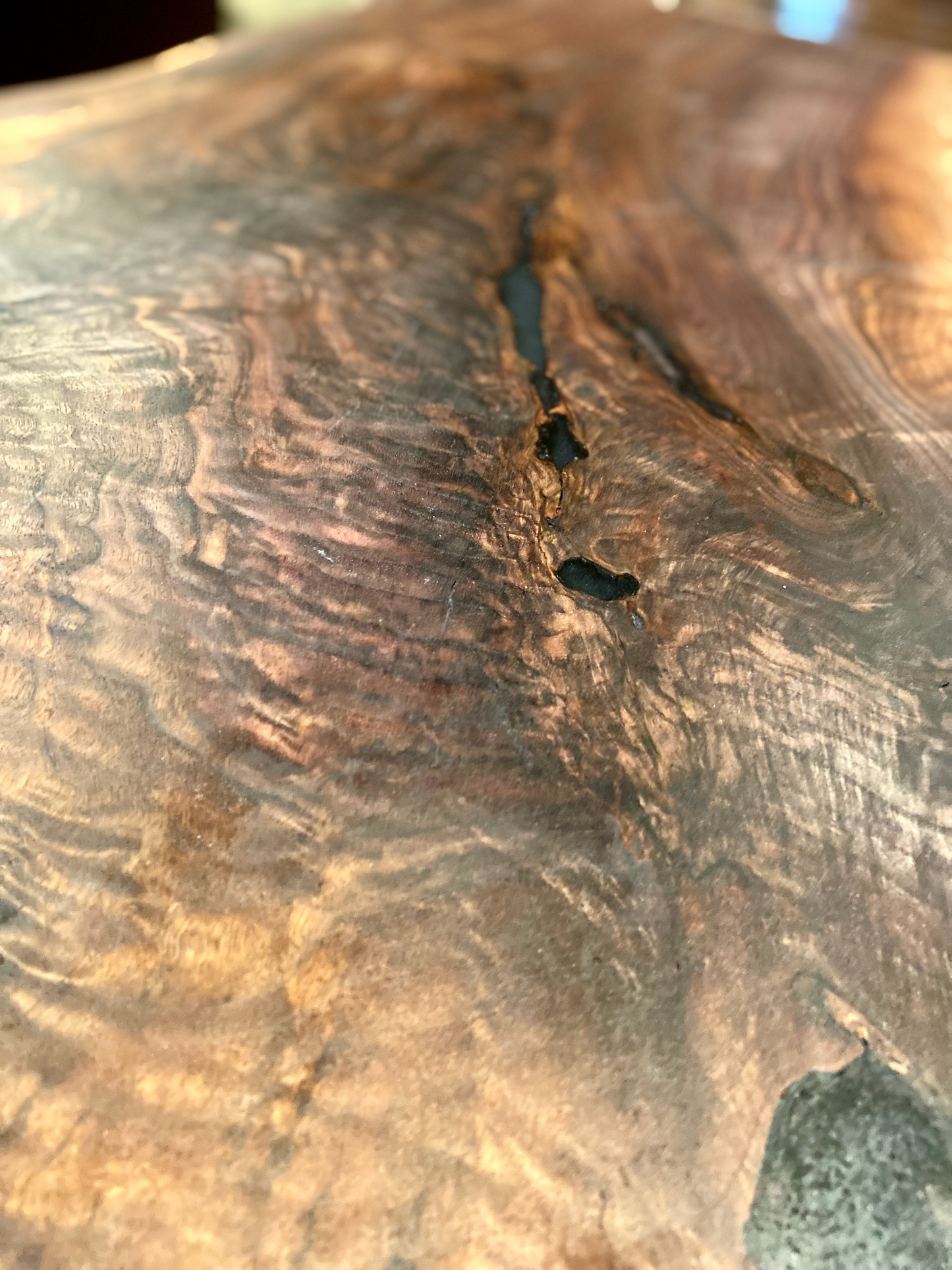 Natural Forked Live Edge Walnut Coffee Table*Natural Edge Walnut Coffee Table*Contemporary Rustic Raw Edge Walnut Coffee Table*Black Walnut