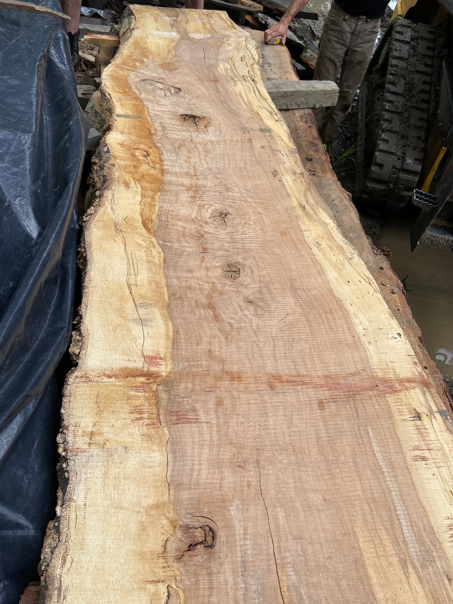 Sycamore Bar Top (SOLD)