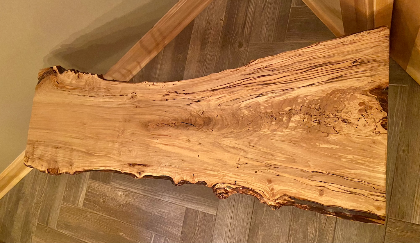 rustic rugged spalted maple live edge coffee table unique spalted maple coffee table spalted maple slab with burls