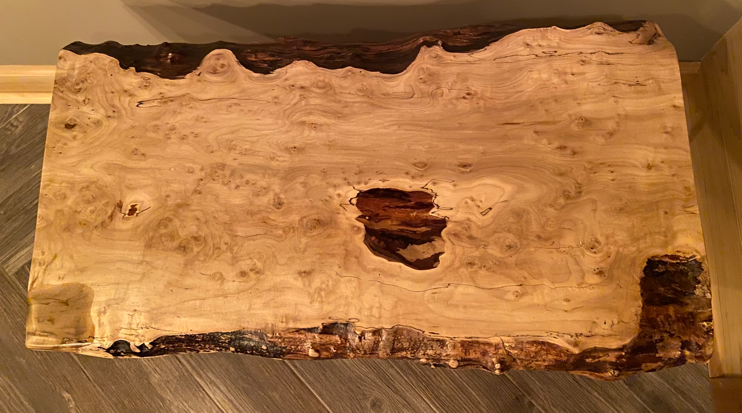 rustic rugged spalted maple live edge coffee table unique spalted maple coffee table spalted maple slab with burls