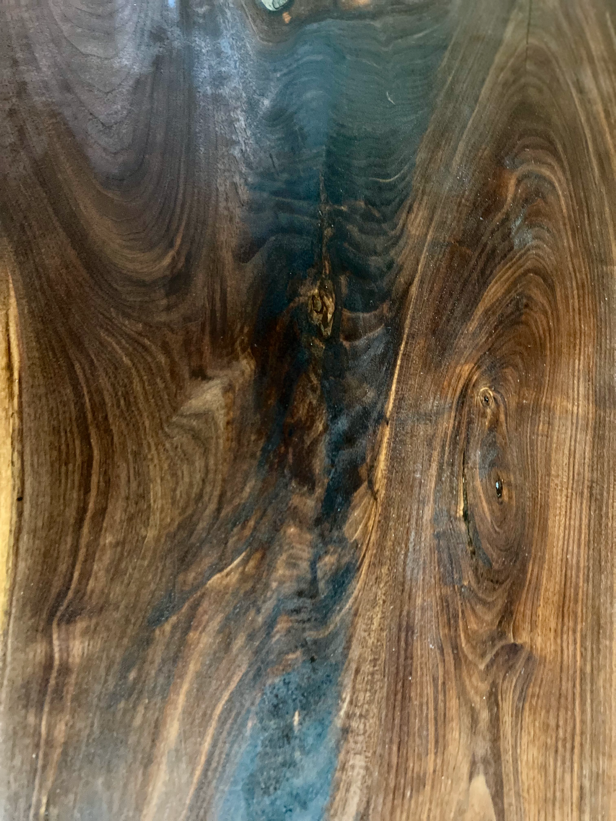 Forked Live Edge Black Walnut Wood Rustic Coffee Table
