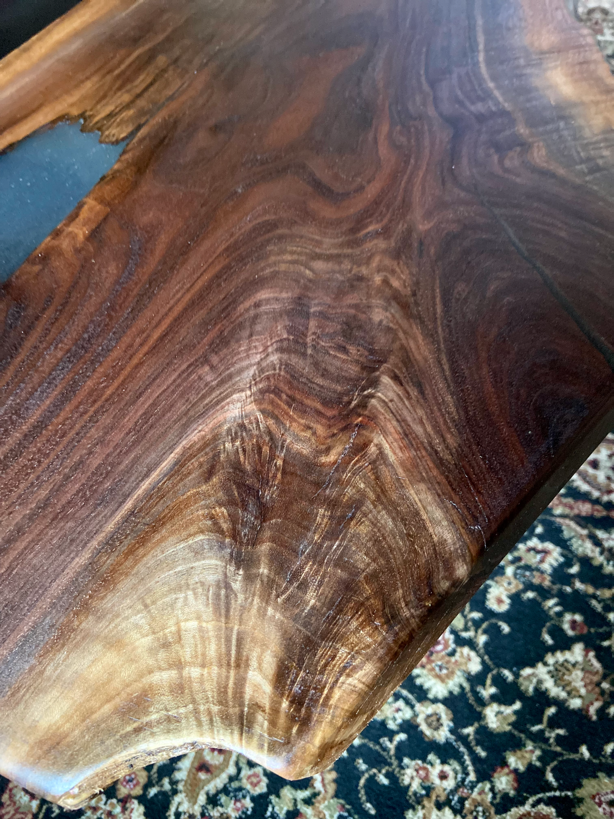 Mid-Size Live Edge Walnut Coffee Table w/ Beautiful Grain Patterns and Natural Fork, Natural Edge Walnut Coffee Table, Live Edge Side Table