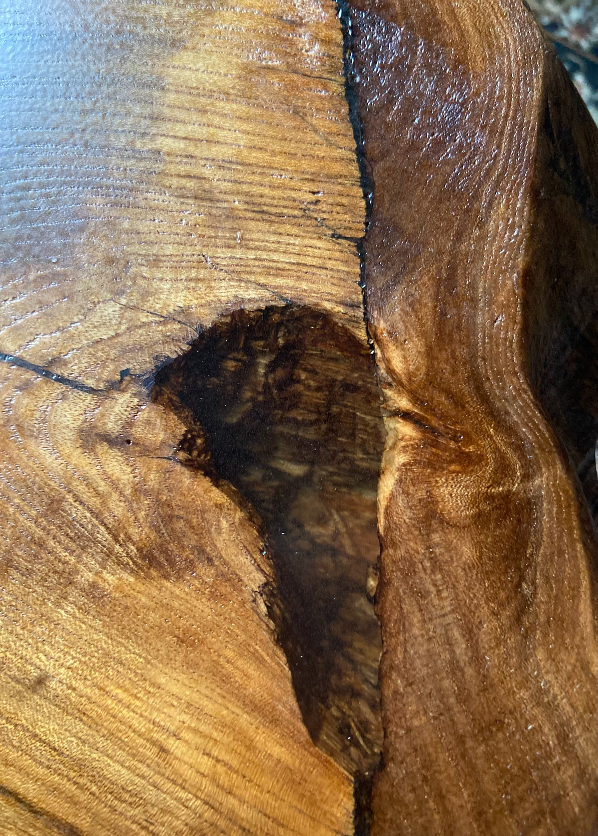 Burl Chestnut Coffee Table w/ Custom Chestnut Wood Legs