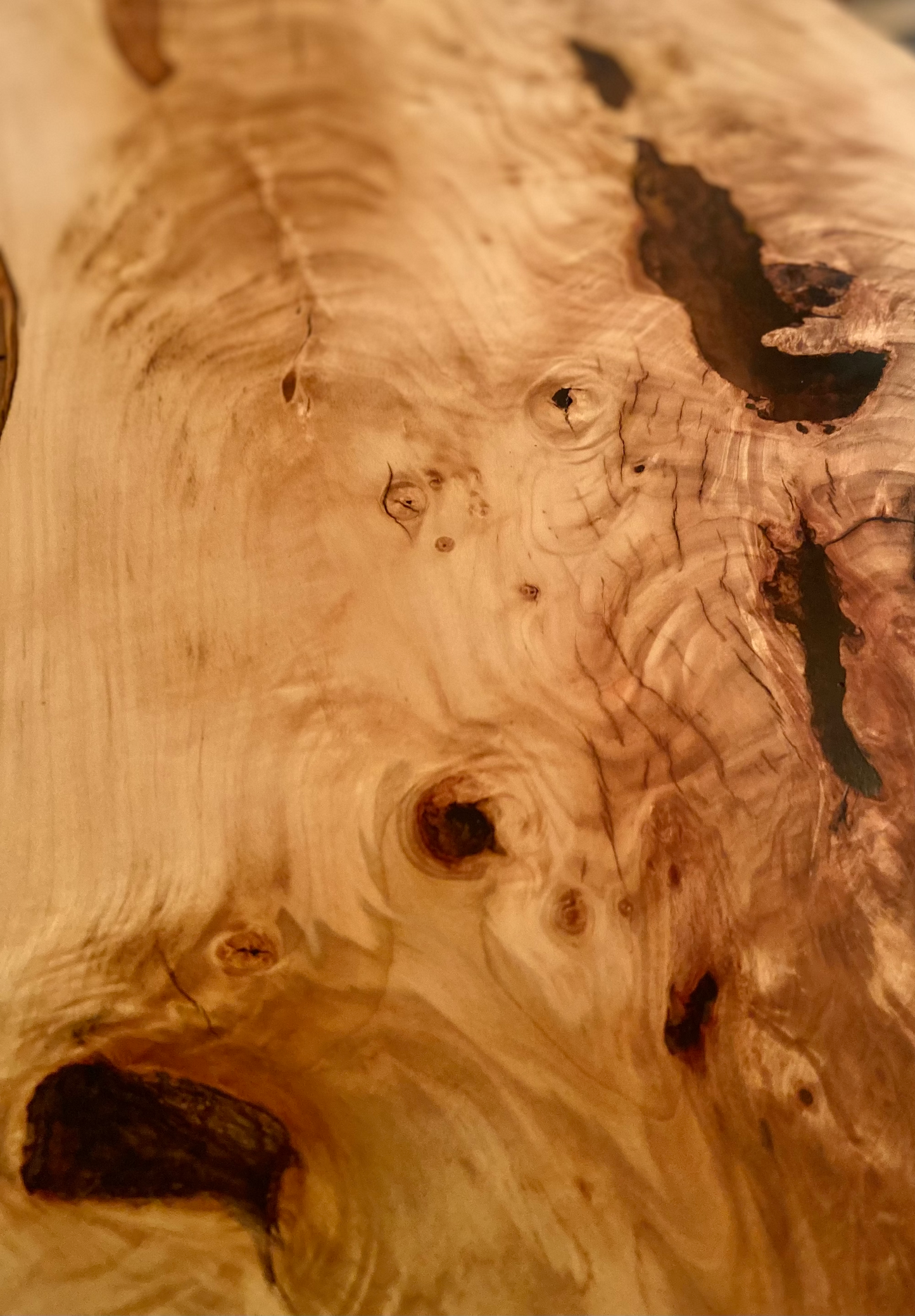 Contemporary Ambrosia Maple Table