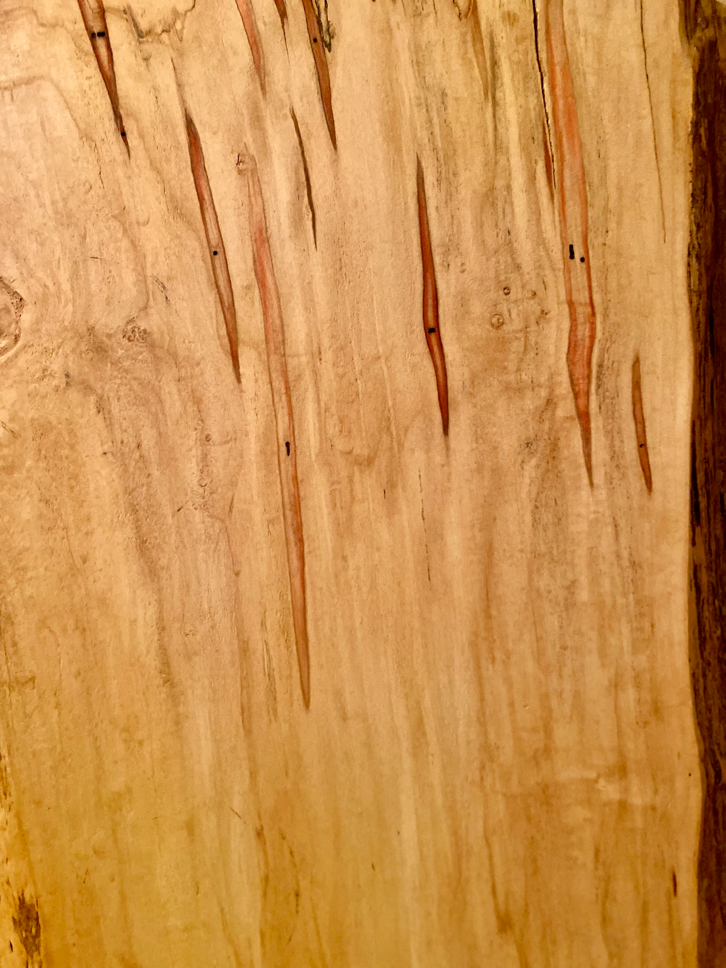 MANITOBA-Live Edge Ambrosia Flame Boxelder Wormy Maple Table