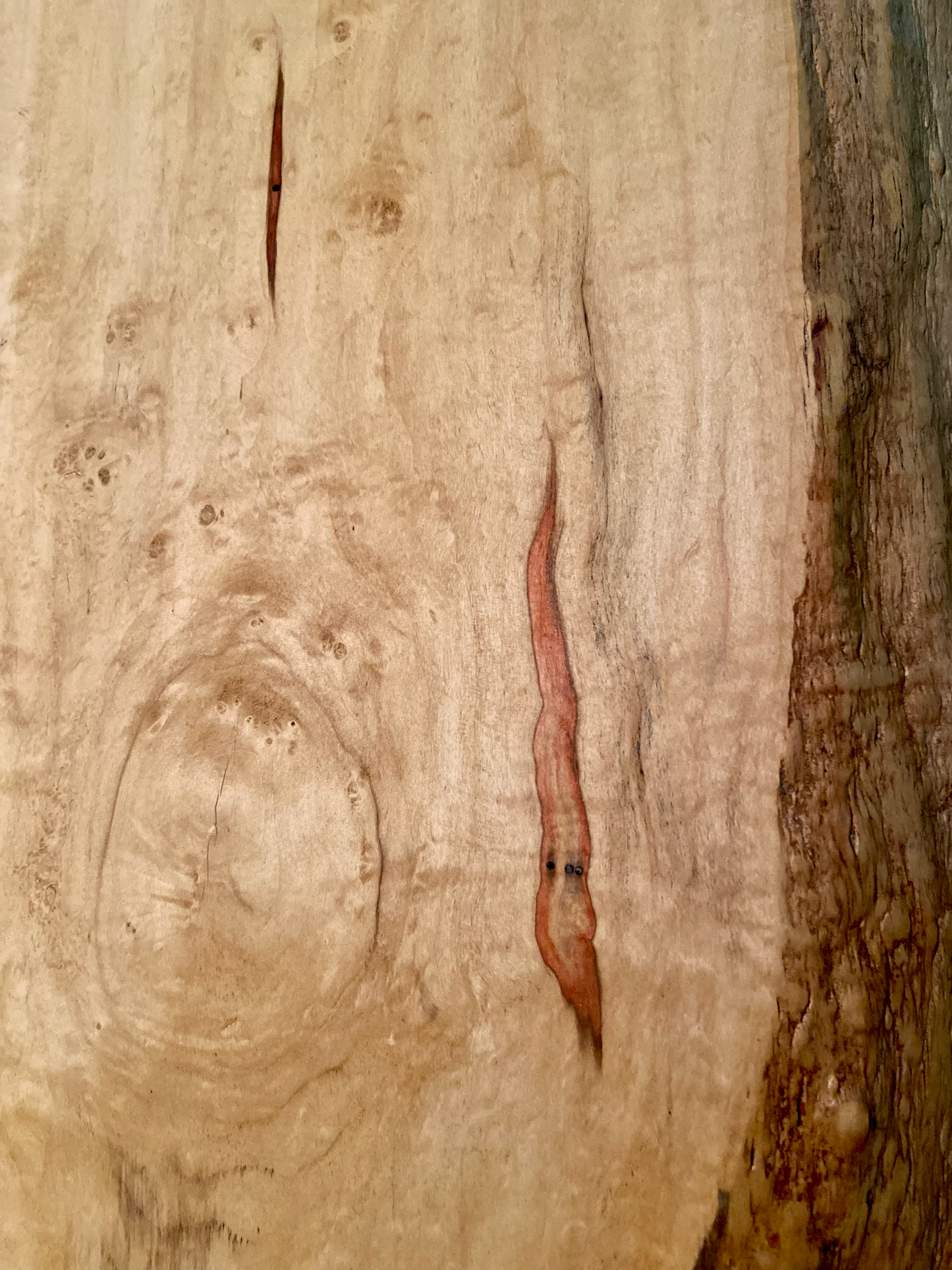 MANITOBA-Live Edge Ambrosia Flame Boxelder Wormy Maple Table