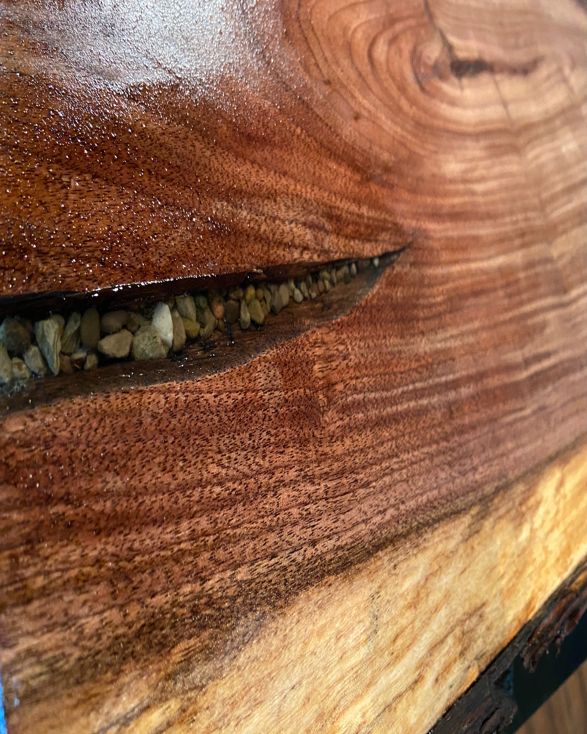 dark walnut coffee table live edge slab black walnut walnut coffee table rustic rugged table