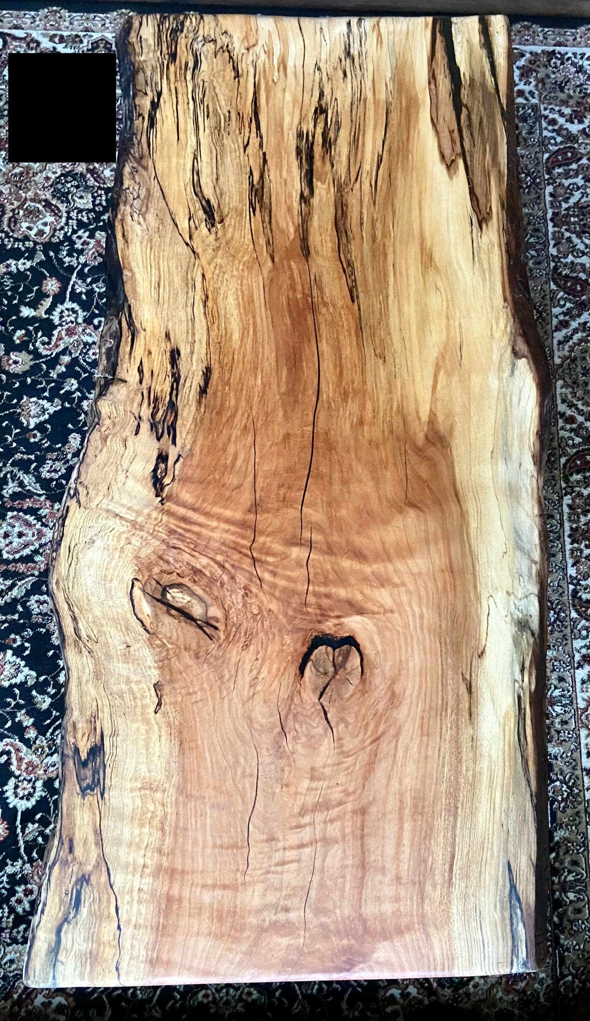 High Figure Large Live Edge Spalted Sycamore Coffee Table