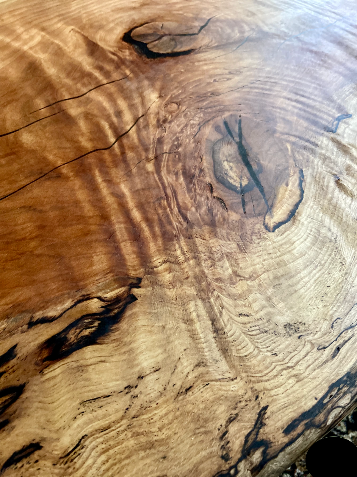 High Figure Large Live Edge Spalted Sycamore Coffee Table