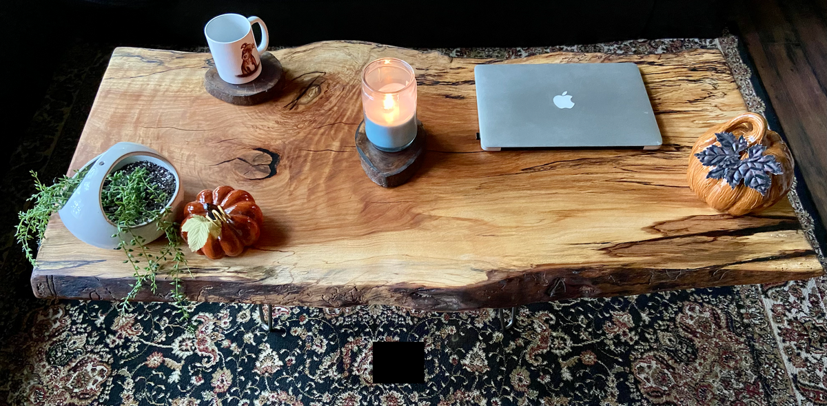 High Figure Large Live Edge Spalted Sycamore Coffee Table