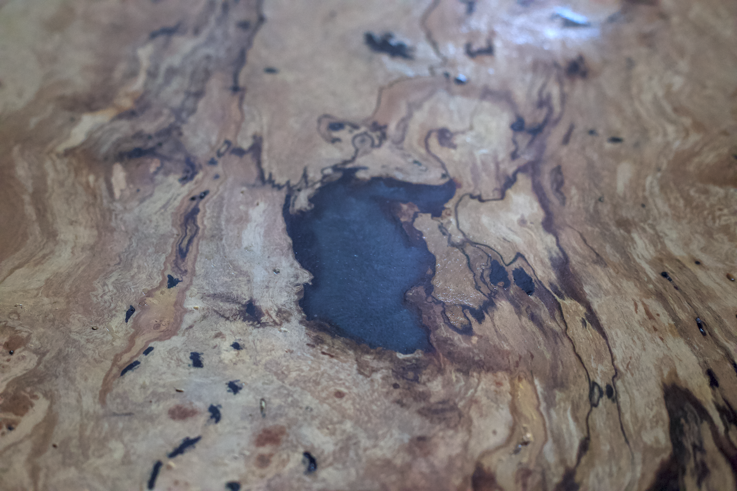 Large Rustic Live Edge Spalted Maple Table