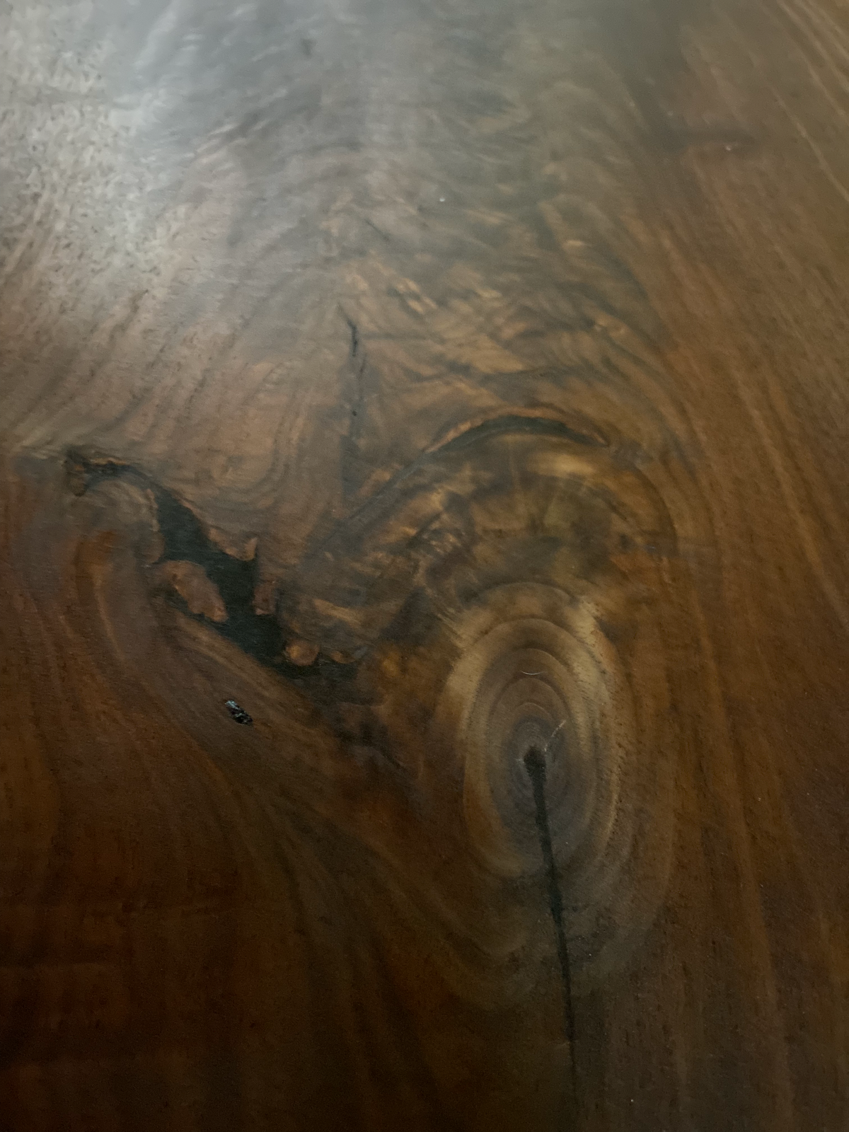 Naturally Forked Live Edge Walnut Coffee Table, Rustic Natural Edge Black Walnut Wood, Live Edge Console Table, Unique Live Edge Wood Table