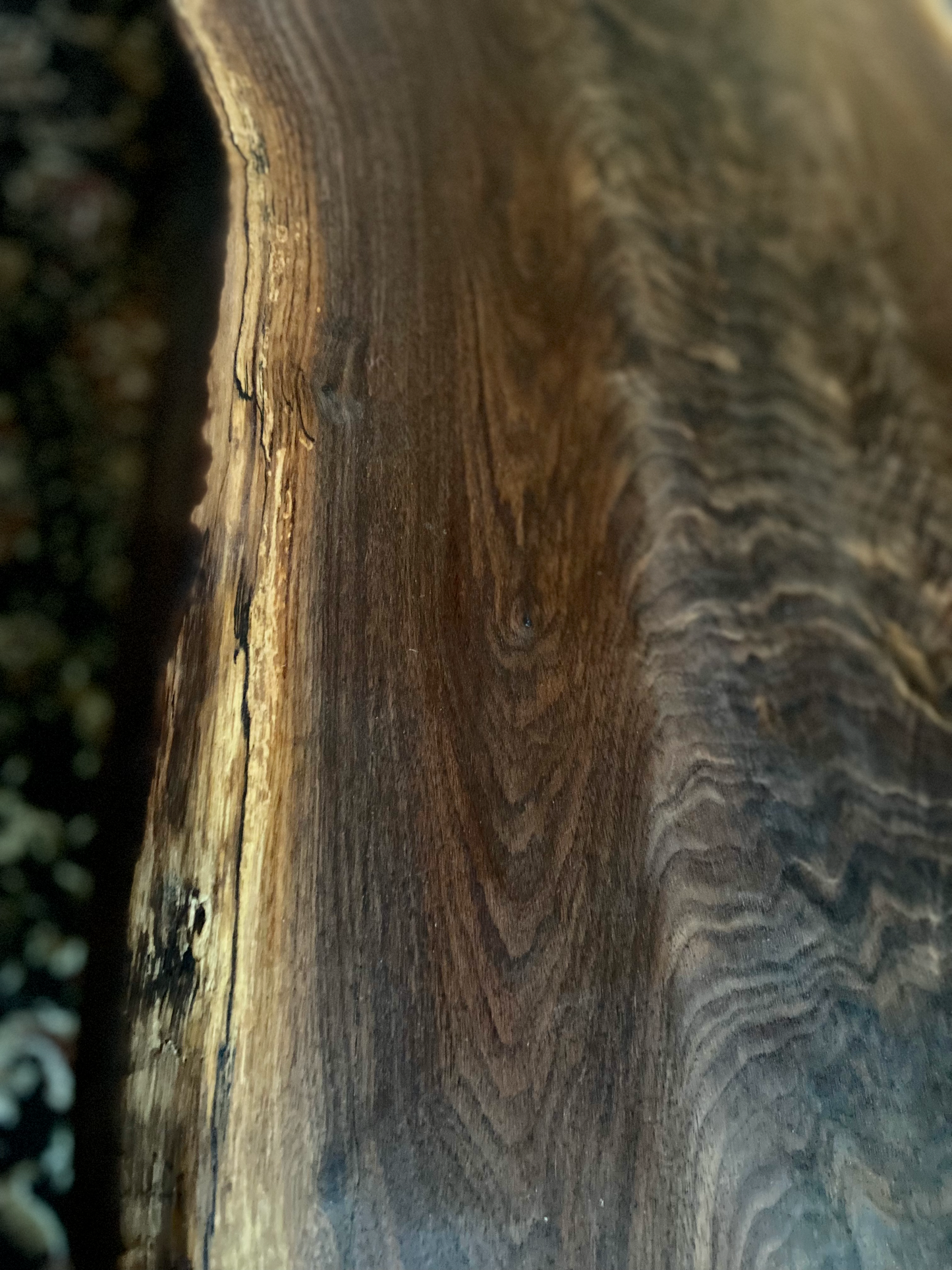 Naturally Forked Live Edge Walnut Coffee Table, Rustic Natural Edge Black Walnut Wood, Live Edge Console Table, Unique Live Edge Wood Table