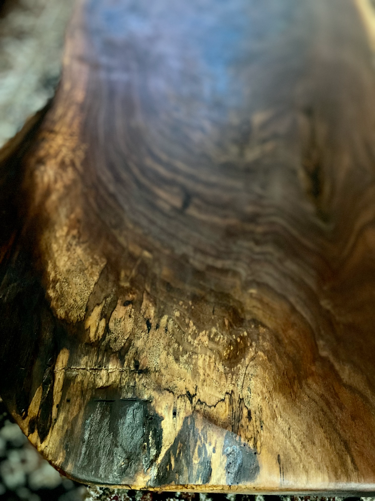 Stunning Live Edge Black Walnut Wood Coffee Table w/ Naturally Gorgeous Grain Patterns and Unique Shape