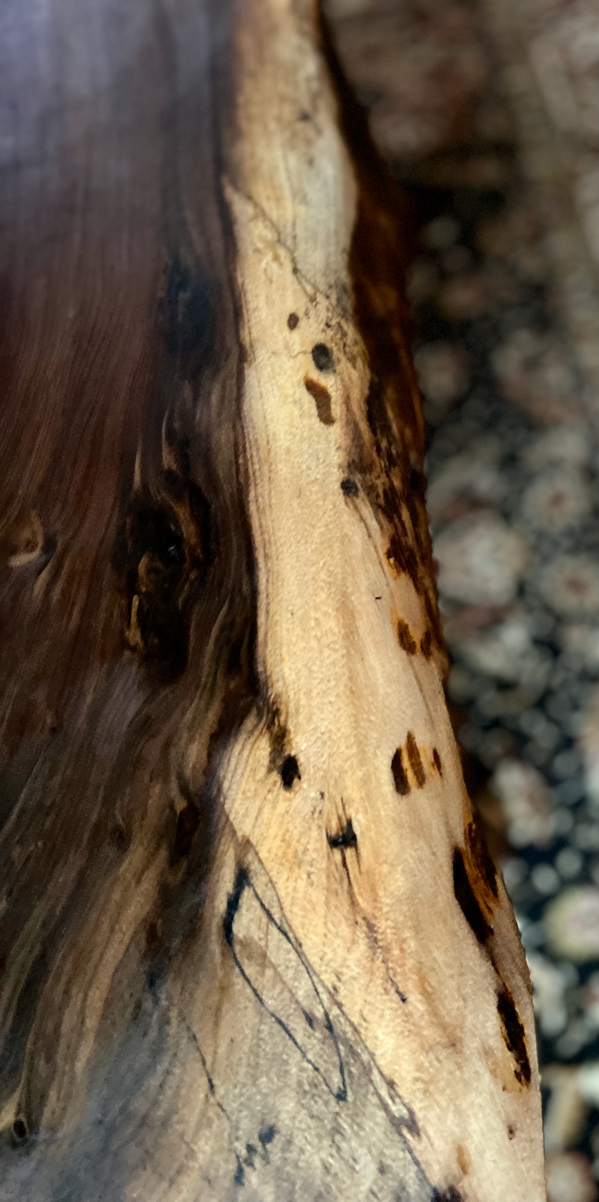 Unique Round Live Edge Black Walnut Wood Slice Table