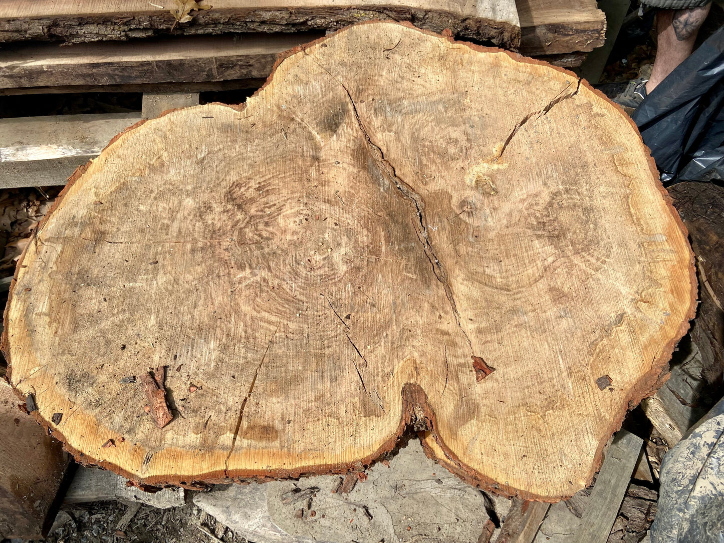 Large Ambrosia Maple Wafer Coffee Table