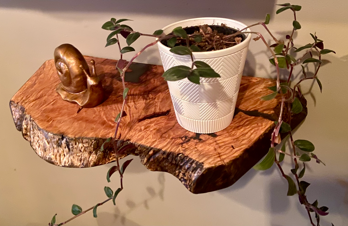 Small Unique Curly Maple Live Edge Wood Shelf