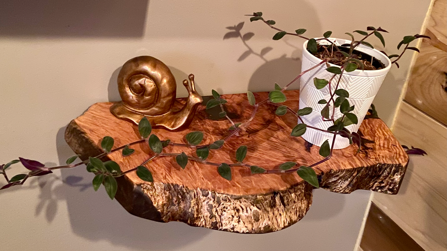Small Unique Curly Maple Live Edge Wood Shelf