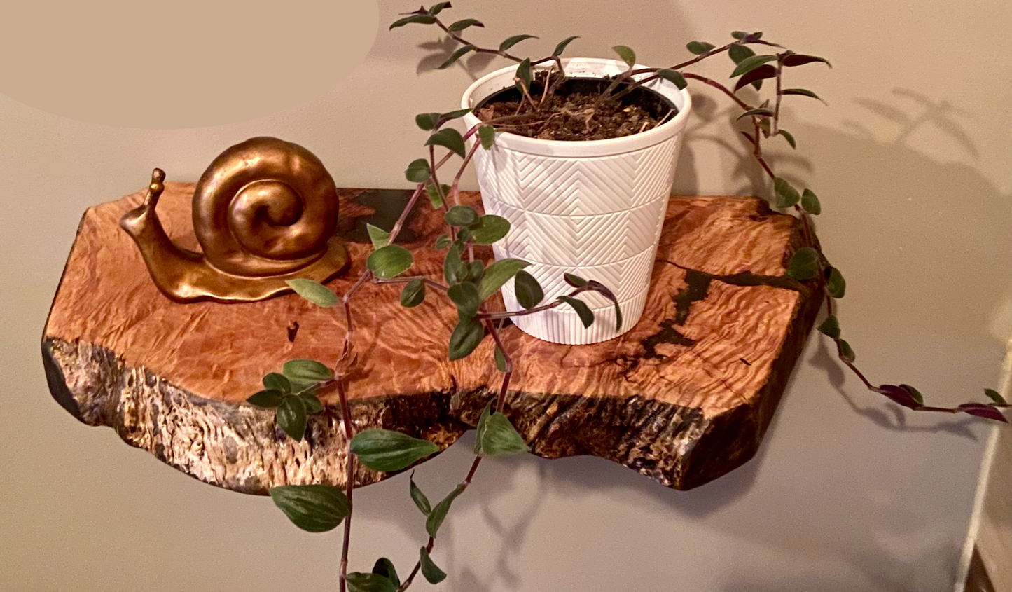 Small Unique Curly Maple Live Edge Wood Shelf