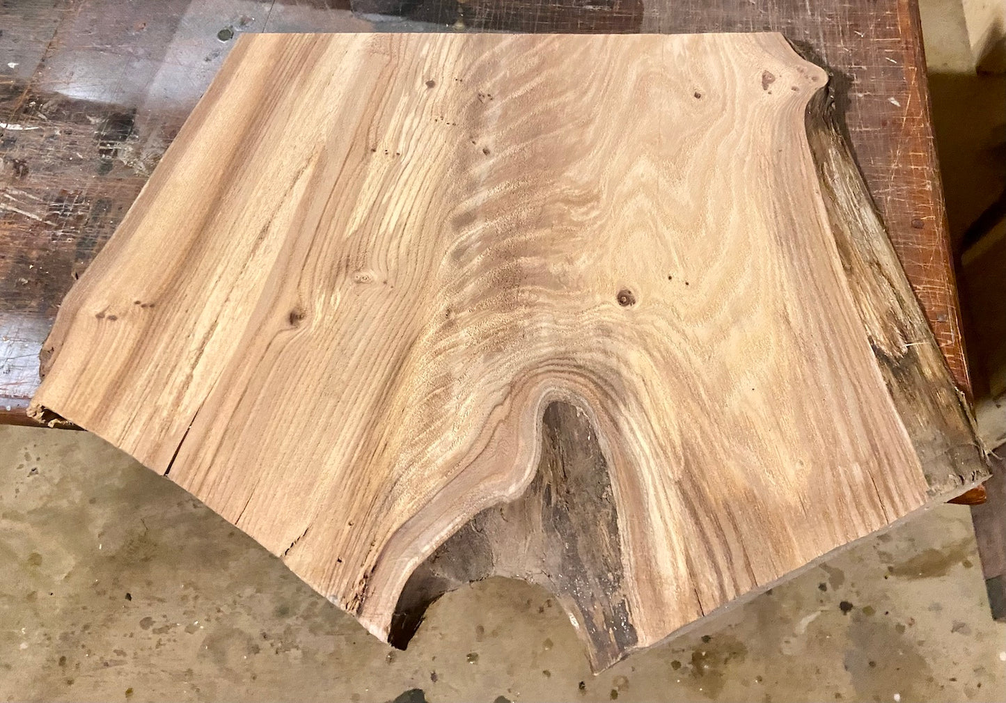 Live Edge Chestnut Forked Wood End Table
