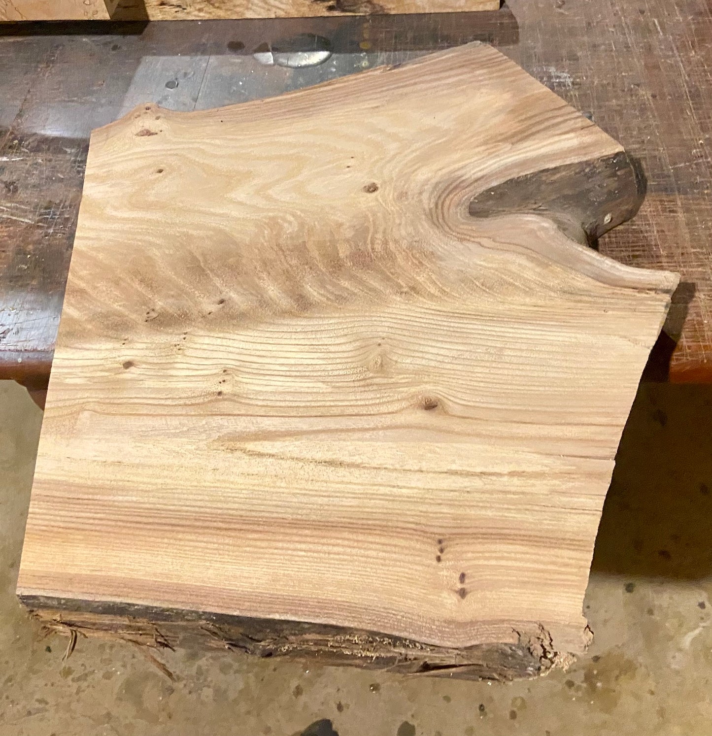 Live Edge Chestnut Forked Wood End Table