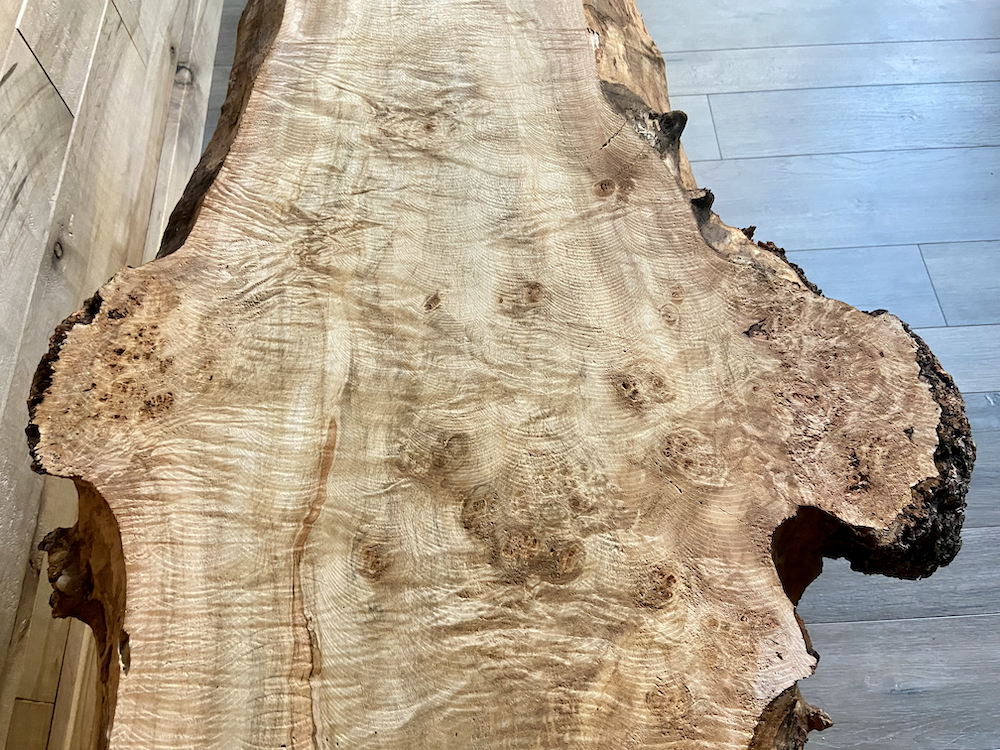 Burl Live Edge Curly Maple Table