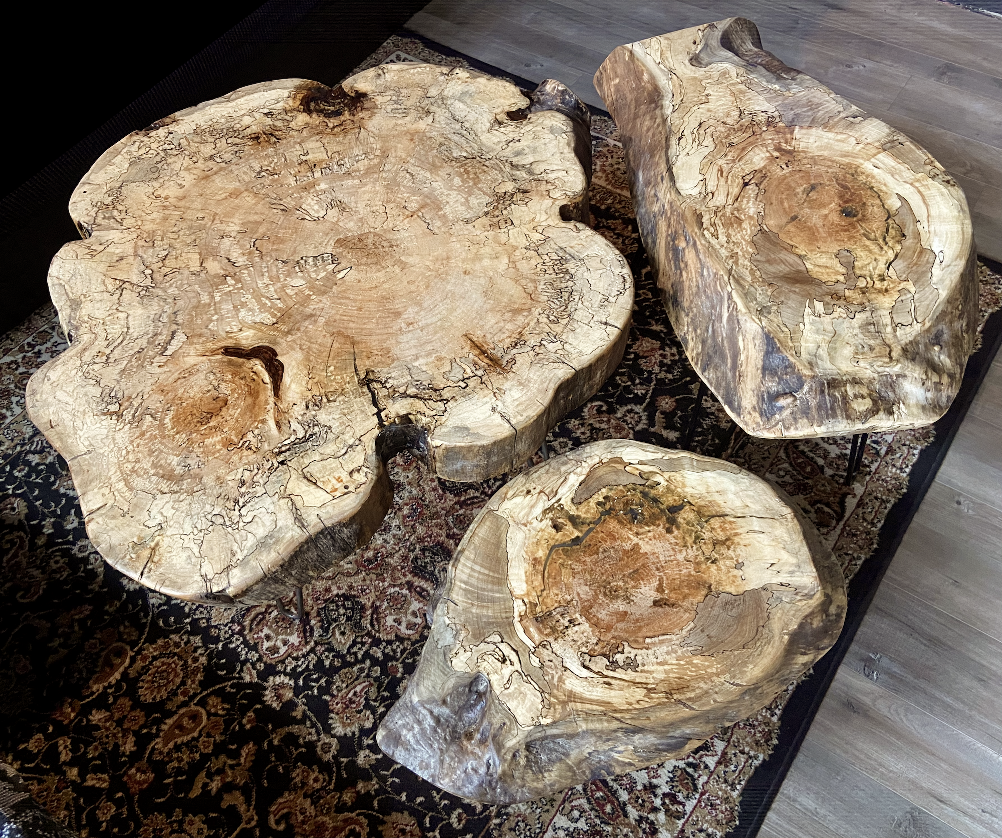 Handmade spalted maple live edge coffee table set with organic shapes and natural wood grain patterns, featuring rustic modern hairpin legs. Handmade spalted maple live edge coffee table set with natural organic shapes, highlighting the rich wood grain and rustic-modern style.